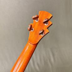 Pohaku Tenor_5