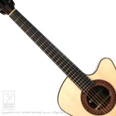 Fujii Guitars SJ Cutaway (Jacaranda)_5