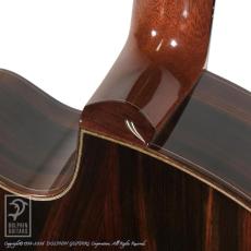 Fujii Guitars SJ Cutaway (Jacaranda)_13