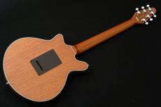 Brian May Guitars Brian May Special "Natural"【本人監修モデル】【決算セール】【BHM242466】_8