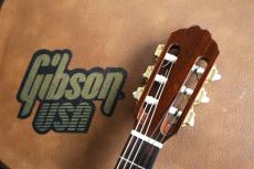 Orville by　Gibson　Chet Atkins CE オービル by ギブソン　チェットアトキンス_2