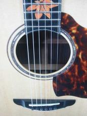 Terry's Terry Premium Terry PTJ-100 MS 45th Anniversary “Momiji”/ Abalone Momiji  Inlay・Spruce Top・Indian Rosewood Side and Back・Tortoiseshell Pick guard 【With Original Case】 2019年製_7