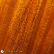 Matsui Laughing Concert Koa Honduras Mahogany_10
