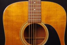 Martin D-18_8