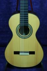 ARIA A-19C-100N/630mm_2