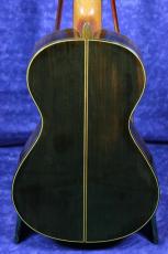 ARIA A-19C-100N/630mm_3