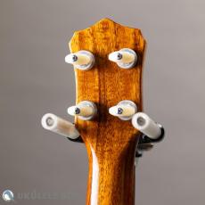 Antar Soprano Longneck Sycamore/Hawaiian Koa _7