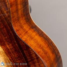 Antar Soprano Longneck Sycamore/Hawaiian Koa _11