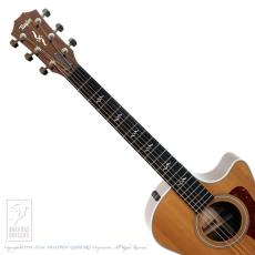 Taylor 414ce-R V-Class_6