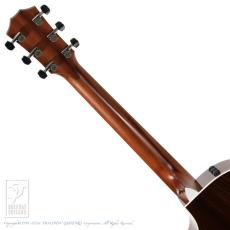Taylor 414ce-R V-Class_7