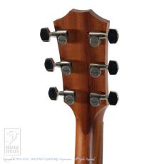Taylor 414ce-R V-Class_9