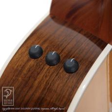 Taylor 414ce-R V-Class_13