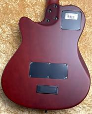 Godin 【純正弦2パックプレゼント!】【48回無金利】Multiac Nylon Encore【約48mmのナット幅!】【デュアルピックアップ搭載!】_9
