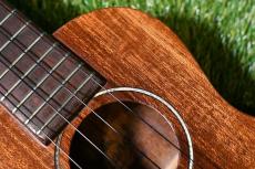 Tangi Soprano Mahogany【USED/1998年】_9