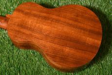 G String G String CONCERT HawaiianKoa【USED/#MB61046】_2