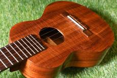 G String G String CONCERT HawaiianKoa【USED/#MB61046】_15