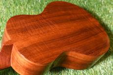 G String G String CONCERT HawaiianKoa【USED/#MB61046】_16