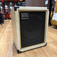 Roland CUBE-60 BASS
