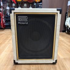 Roland CUBE-60 BASS_2