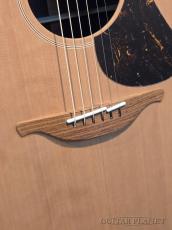 Lowden ～Original Series～ F-10 (Red Cedar / Indian Rosewood) #28751【日本初上陸!】【48回迄金利0%対象】_9