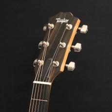Taylor 210ce Plus_6