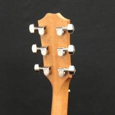 Taylor 210ce Plus_7