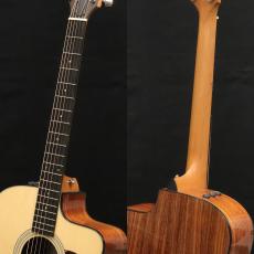 Taylor 210ce Plus_8