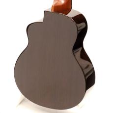 aNueNue MOON BIRD Series aNN-US200E_5