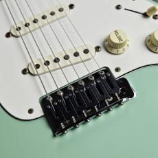 ESP ST Type Custom Order -Seafoam Green-_3