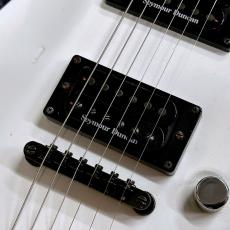 SCHECTER Diamond Series C-1 Jerry Horton Signature【中古品】【2001年製】_3