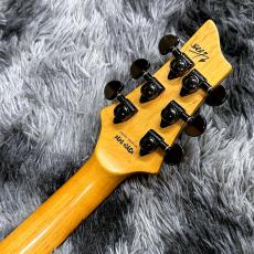 SCHECTER Diamond Series C-1 Jerry Horton Signature【中古品】【2001年製】_6
