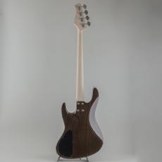Kikuchi Guitars Hermes Series RV4-Ash Trans Black_5