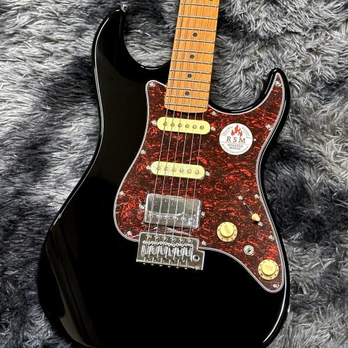 Bacchus GS-2DX RSM/M BLK (Black) -Univers Series-【ステンレスフレット】