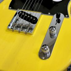 Bacchus BTE-1DX RSM/M BBD (Butterscotch Blonde) -Univers Series-【ステンレスフレット】_4