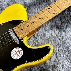 Bacchus BTE-1DX RSM/M BBD (Butterscotch Blonde) -Univers Series-【ステンレスフレット】_5