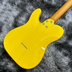 Bacchus BTE-1DX RSM/M BBD (Butterscotch Blonde) -Univers Series-【ステンレスフレット】_8