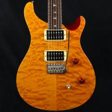 Paul Reed Smith [PRS] 25th Anniversary SE Custom 24 Vintage Yellow 2010