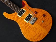 Paul Reed Smith [PRS] 25th Anniversary SE Custom 24 Vintage Yellow 2010_3