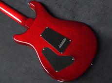 Paul Reed Smith [PRS] 25th Anniversary SE Custom 24 Vintage Yellow 2010_7