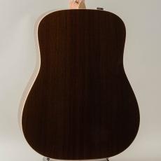 Taylor 810e 2016_2
