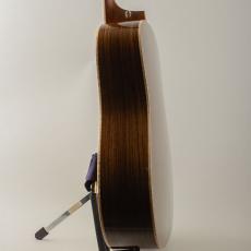 Taylor 810e 2016_5
