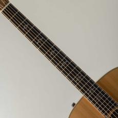 Taylor 810e 2016_6