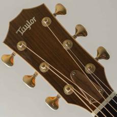 Taylor 810e 2016_8