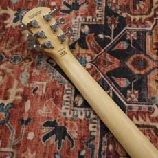 Pignose PGG-200FP1 BK 【特価】【ヘッドフォン付き】_6