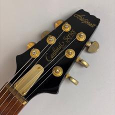 Aria Pro II CS　Black & Gold_4