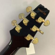 Aria Pro II CS　Black & Gold_8