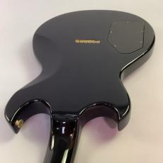 Aria Pro II CS　Black & Gold_10