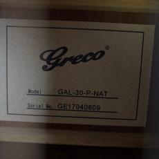 Greco GAL-30-P-NAT_11