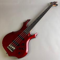 ESP FOREST-STD_2