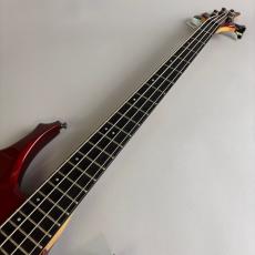 ESP FOREST-STD_3